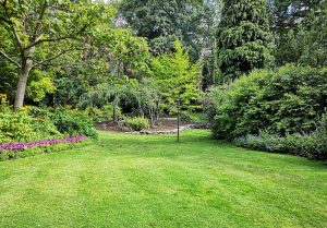 Optimiser l'expérience du jardin à Trimbach